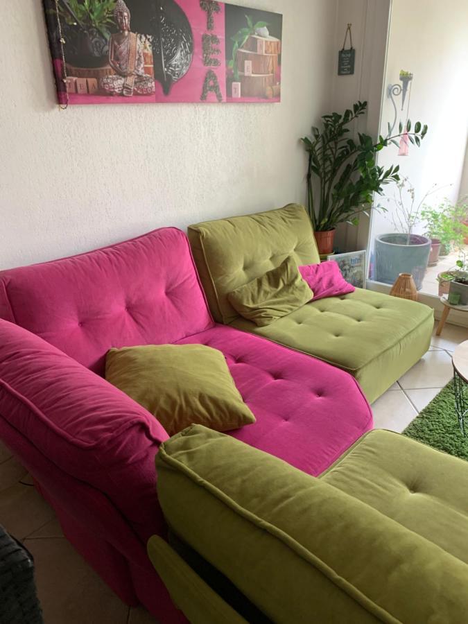 Votre Sejour Cosy A Frejus!公寓 外观 照片