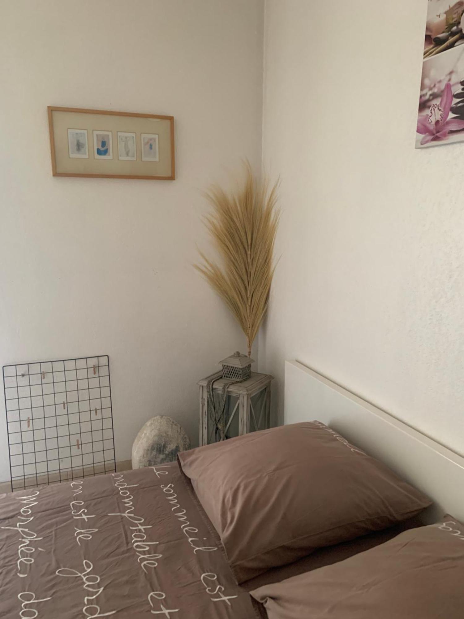 Votre Sejour Cosy A Frejus!公寓 外观 照片